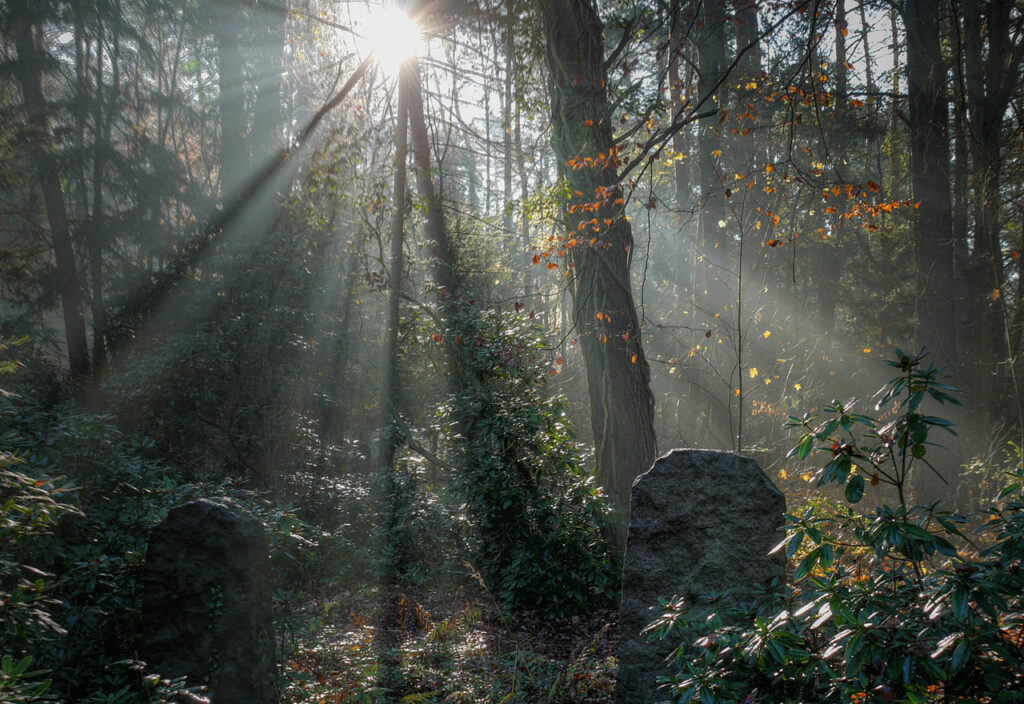 Friedhof Stahnsdorf