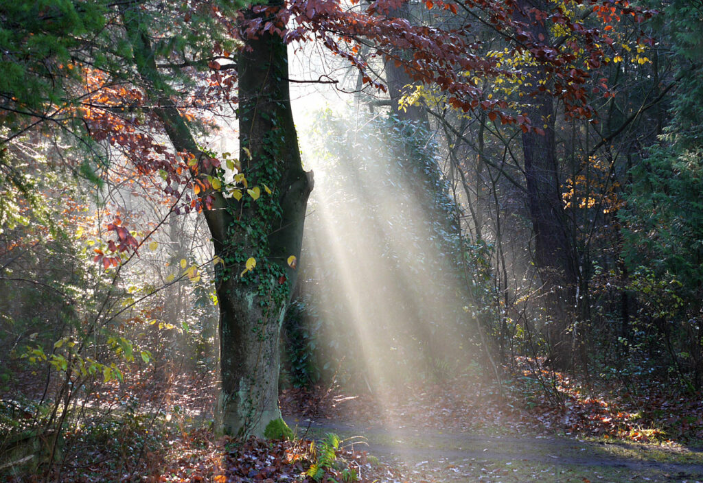 Friedhof Stahnsdorf