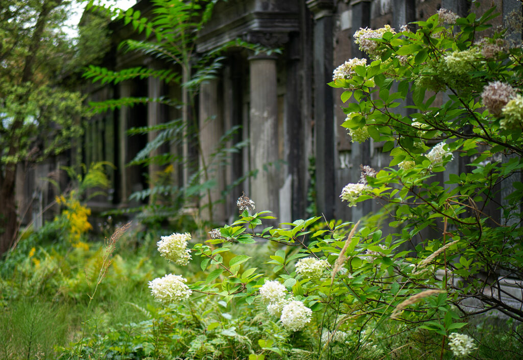Jüdischer Friedhof Weissensee