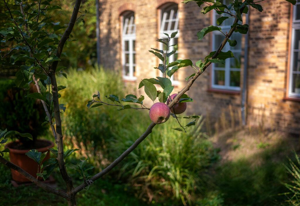 Friedrichshagen