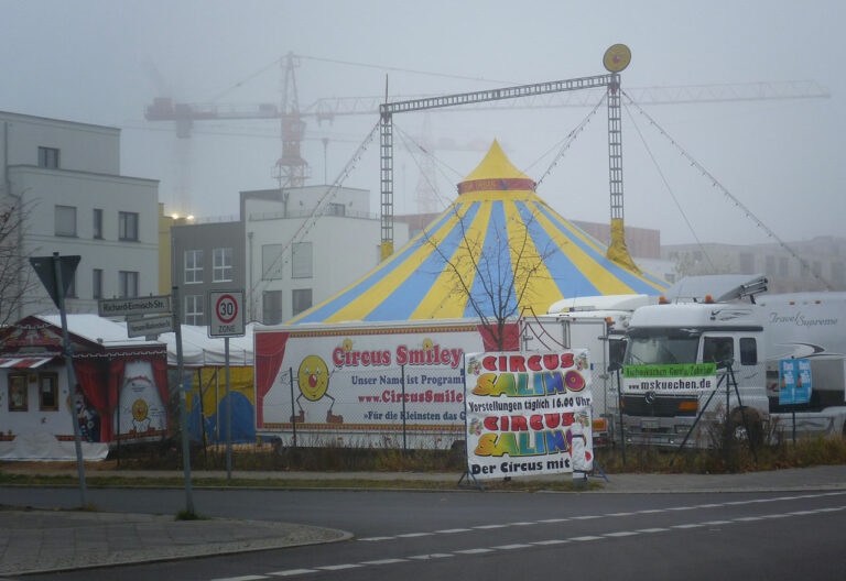 Berlin - ein Zirkus im Nebel