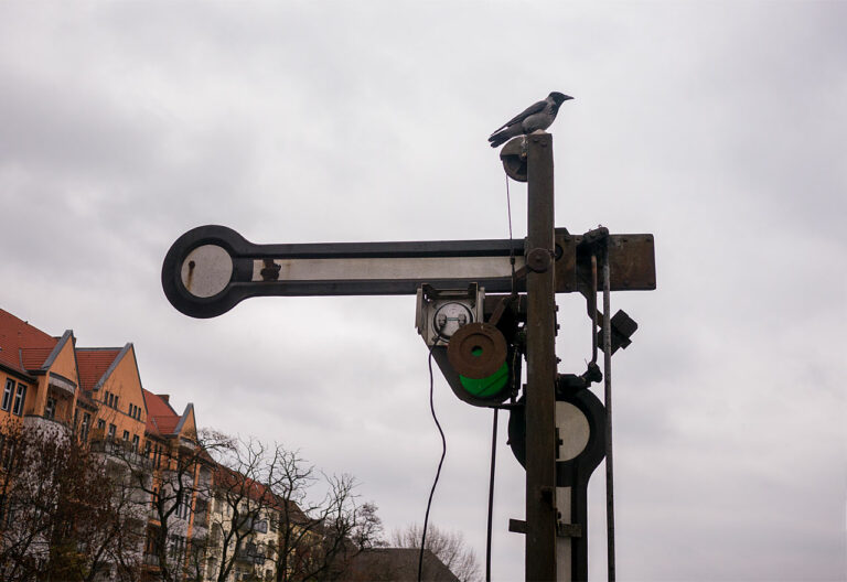 Berlin - eine Krähe sitzt auf einem alten Signal