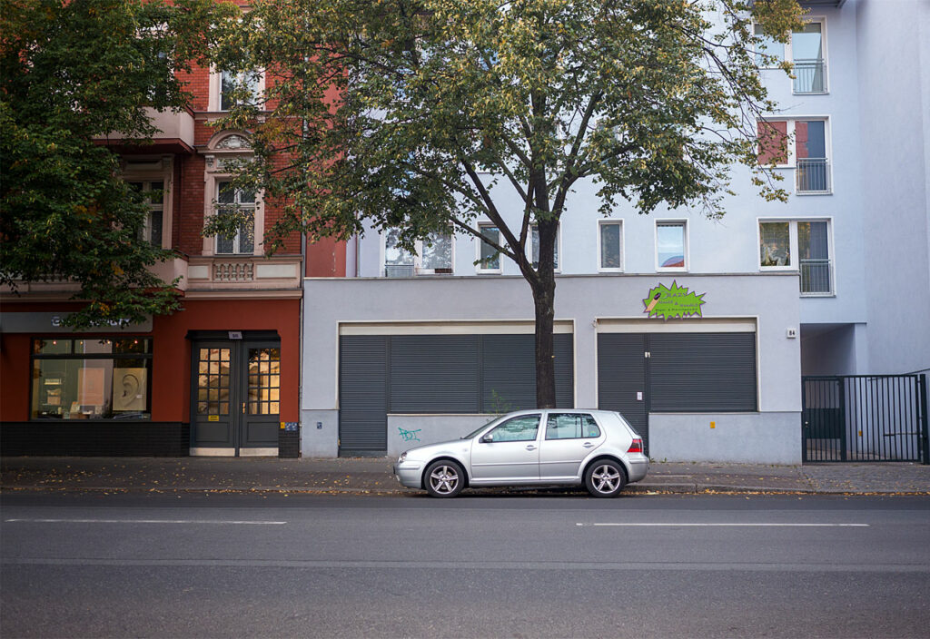Berlin - ein Auto unter einem Baum