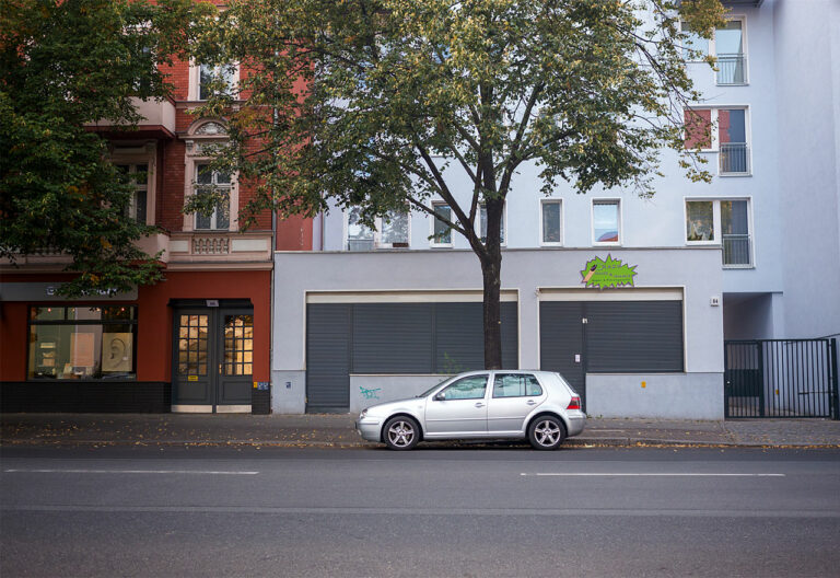 Berlin - ein Auto unter einem Baum