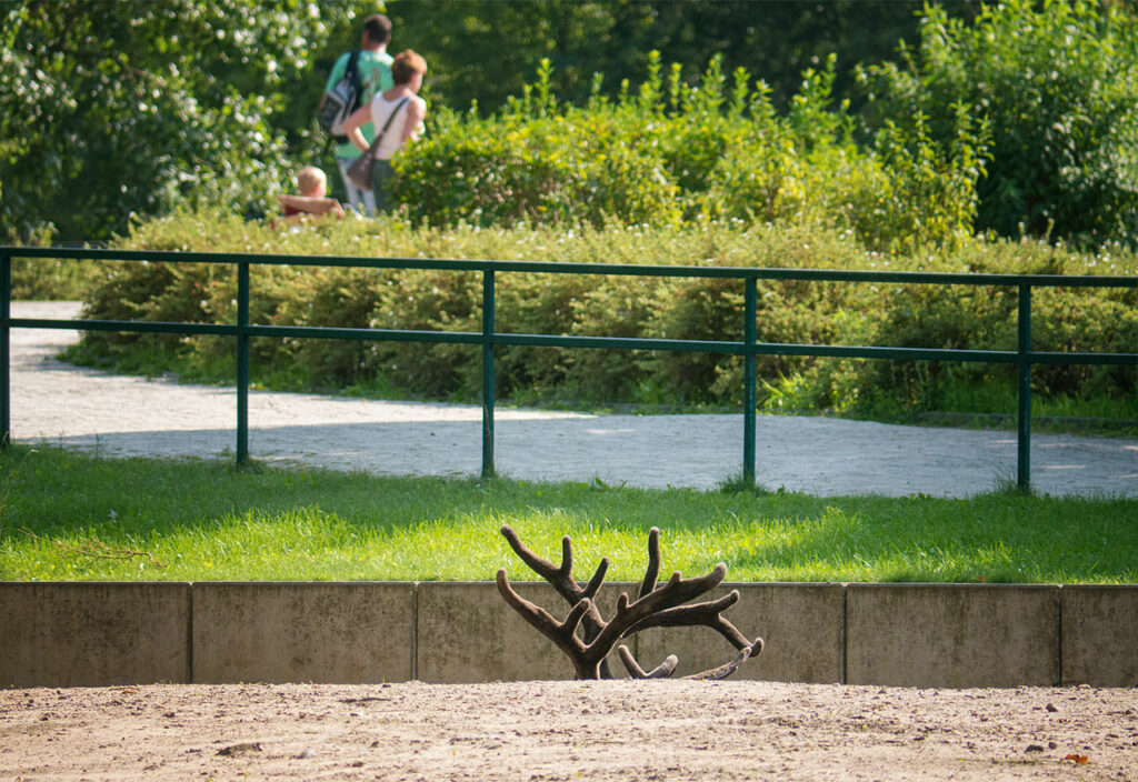 Berlin - Tierpark