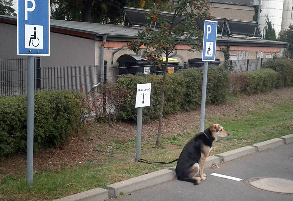 Berlin - Parkplatz vom Discouter