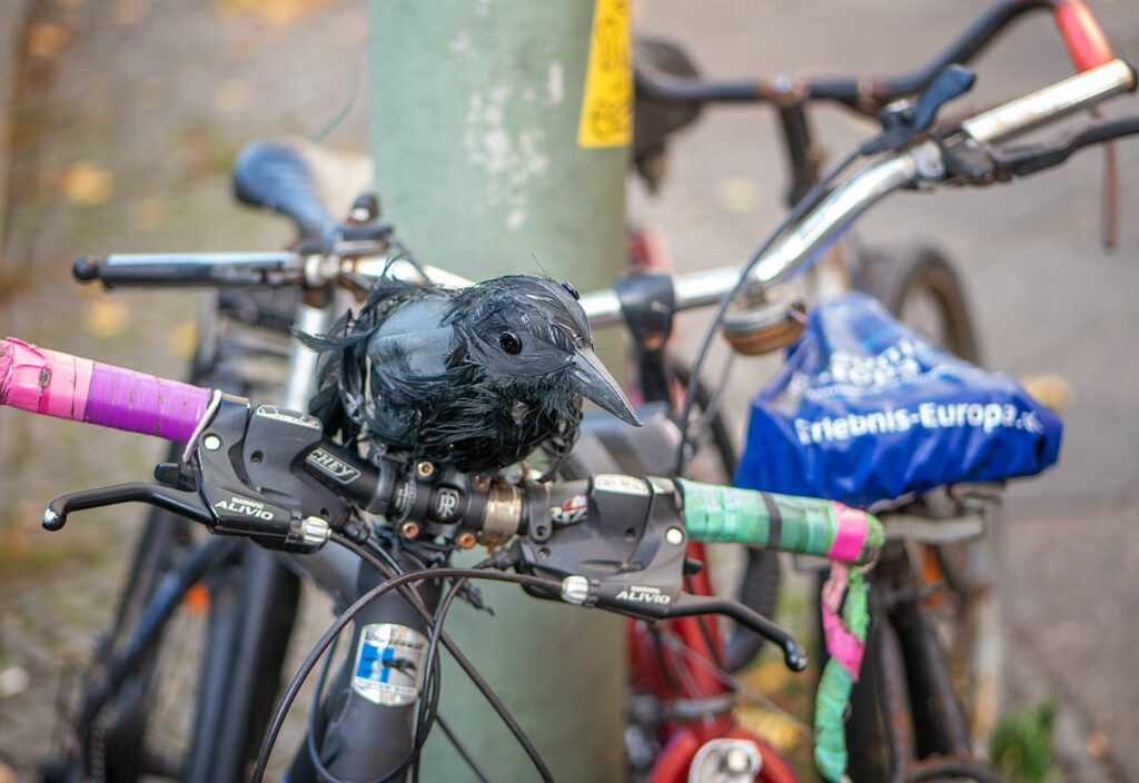 Berlin - Fahrrad mit künstlichem Vogel auf dem Lenker
