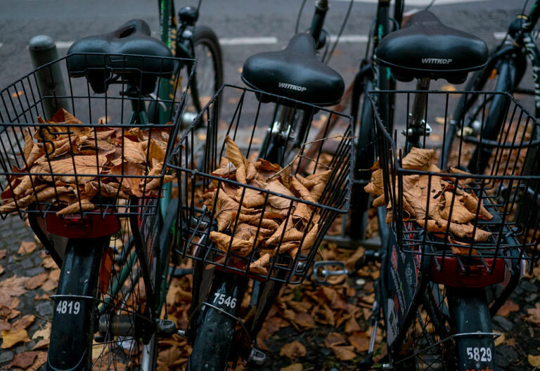 Berlin - Herbstlaub