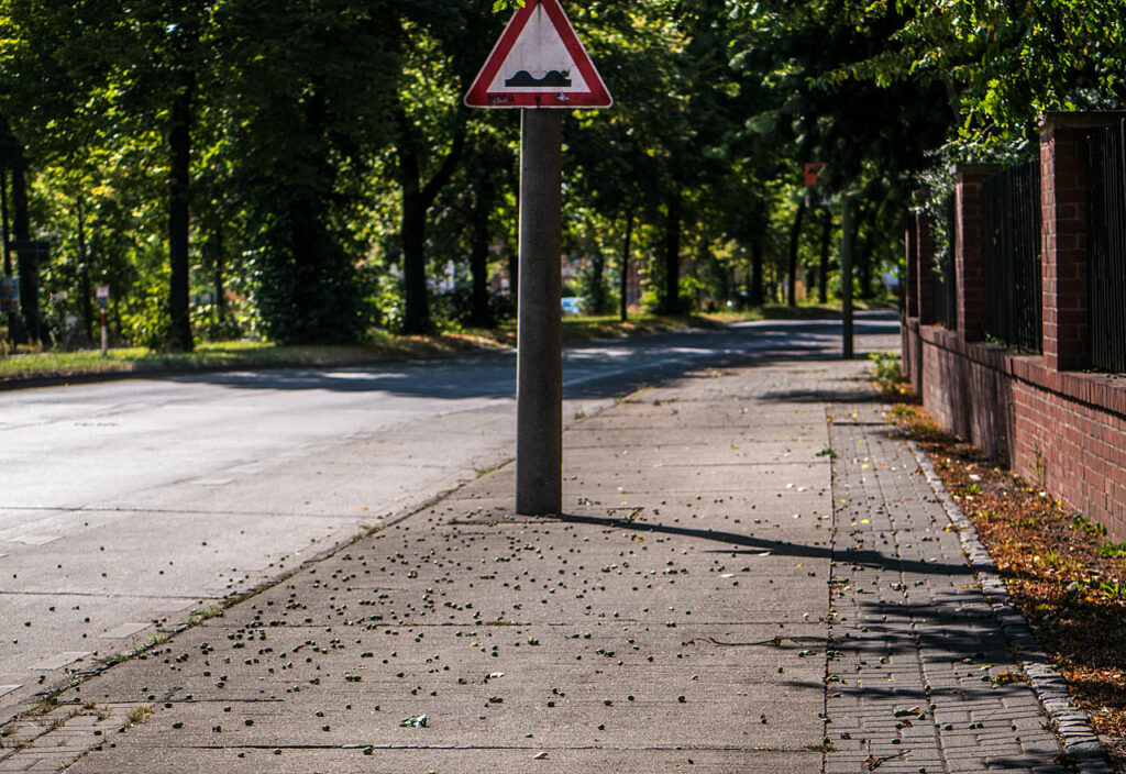 Berlin - Marzahn