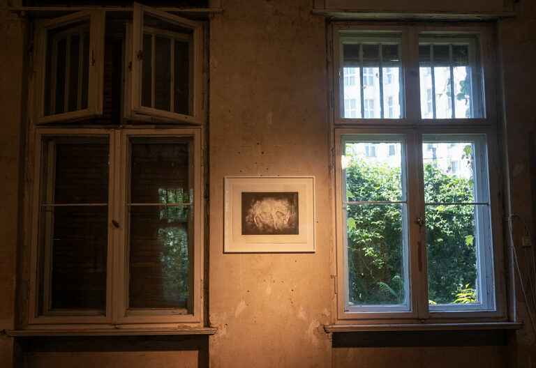 Eine Fotografie in einem der Ausstellungsräume im Verwalterhaus