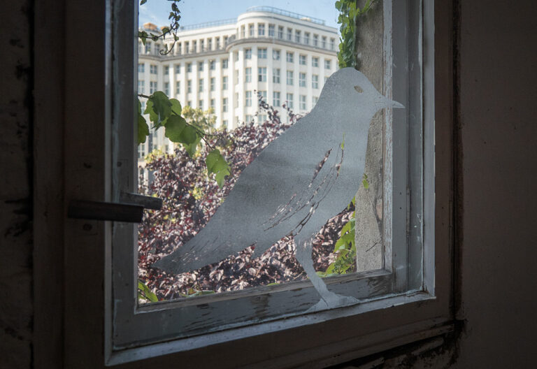 Blick aus dem Fenster des Verwalterhauses